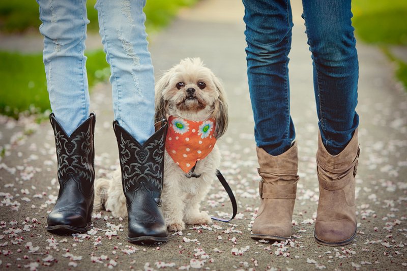 Comment porter les santiags femme ? Toutes les associations qui fonctionnent